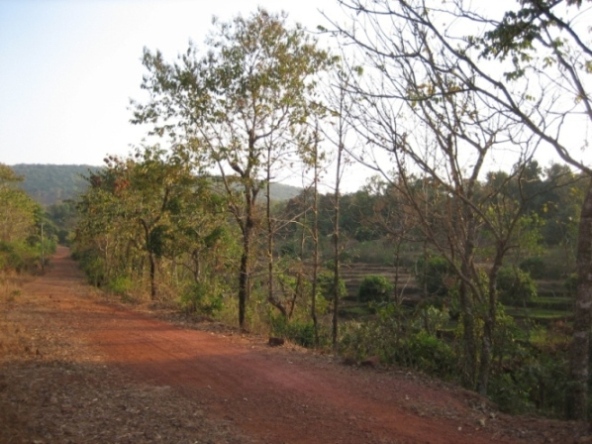 kokan9.jpg