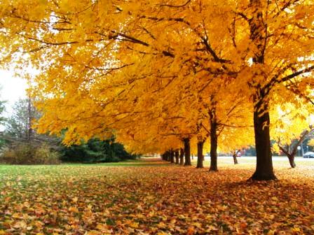 Fall2007_2Web.jpg