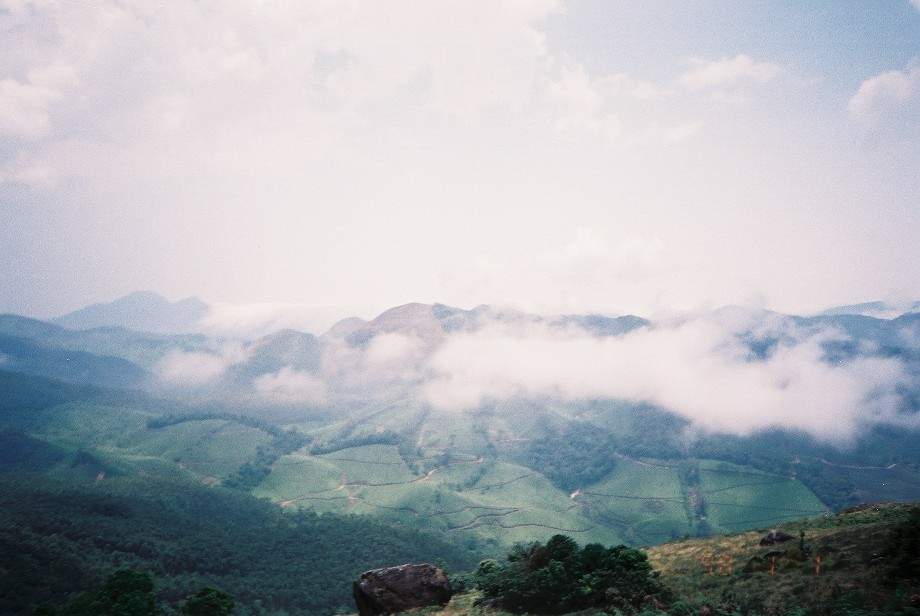 RajMalai, Munnar